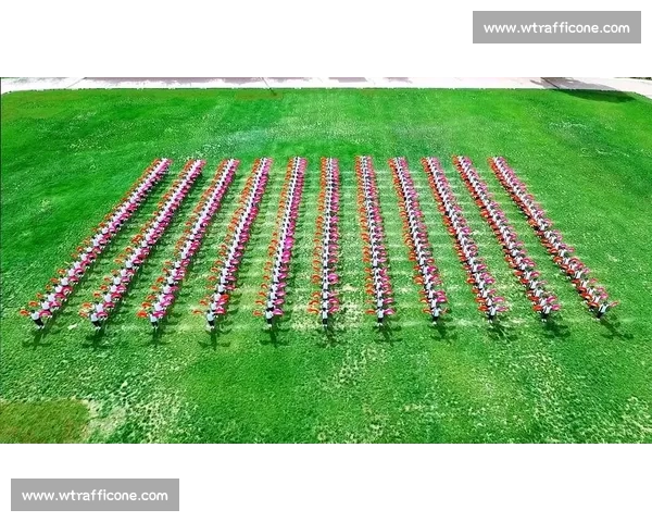 泛太赛女双：巴博斯 斯特凡尼 6-46-3 夺冠